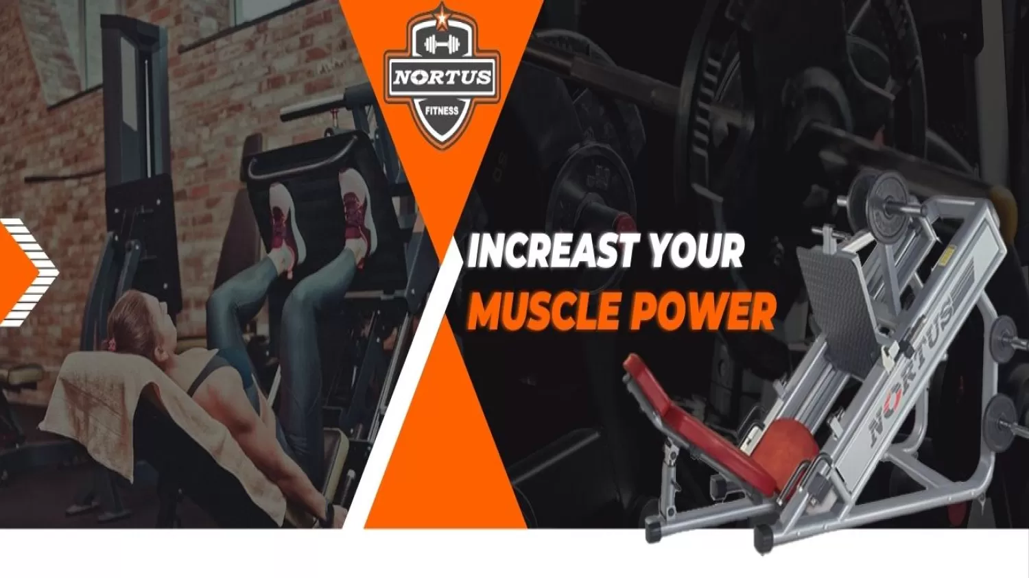 Gym Equipment: A Complete Guide to Choosing the Best Fitness Equipment for Your Workout