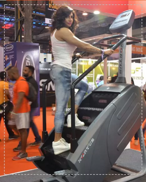 Nortus treadmill online