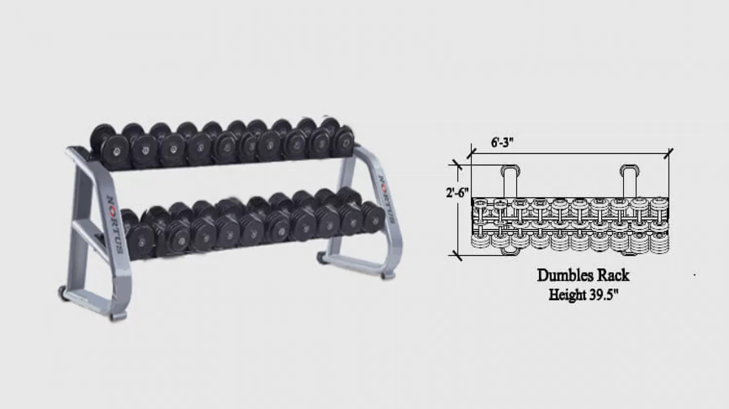 Read This Professional Guide Before Buying Dumbbells